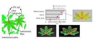 Maple-leaf-shaped luminescent solar concentrator (LSC) may enhance the collection and transfer of light to photovoltaic (PV) cells. Researchers evaluated the optical efficiency of the leaf-shaped LSCs under uniform irradiation by white LED.