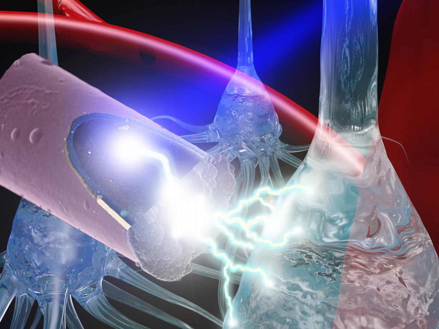 Untethered, Ultrasmall Electrode