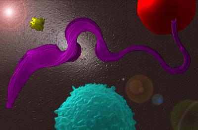 X-Ray Laser Pulses Reveal Key Parasite Enzyme (8 of 15)