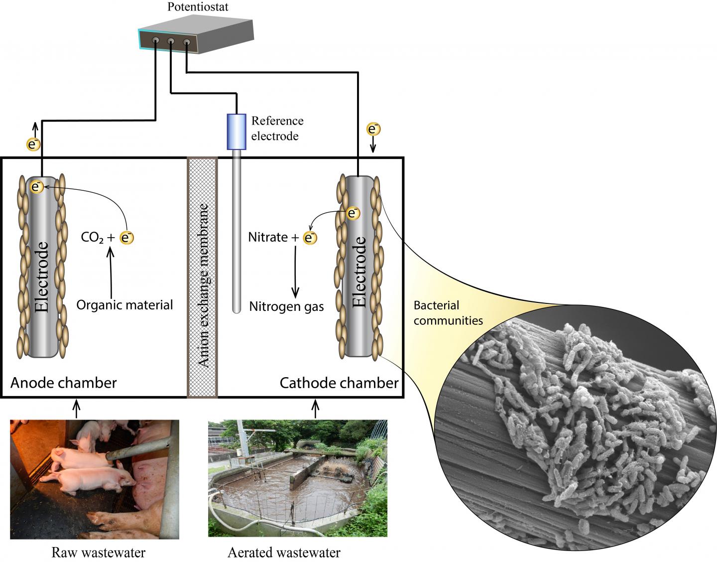 The novel system used to treat wastewater