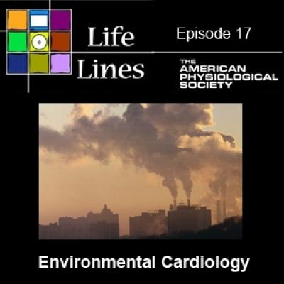 Life Lines Episode 17