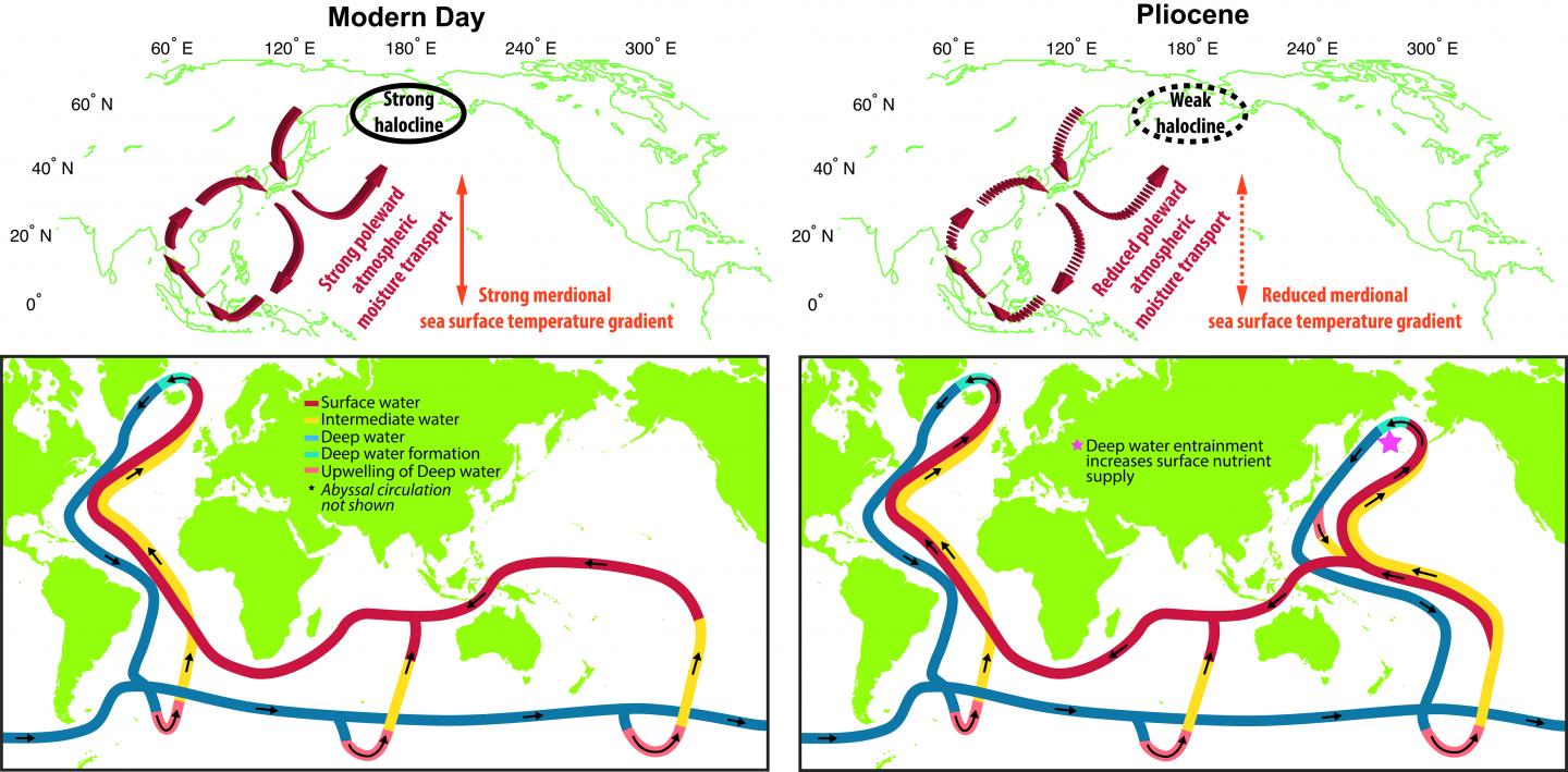 In the Pliocene, the Pacific Ocean May Have Had its Own Major Overturning Circulation (1 of 1)