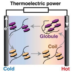 Diagram of phase transitions in the thermocell