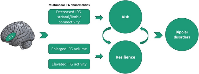 Multimodal IFG abnormalities related to risk and resilience markers for BD