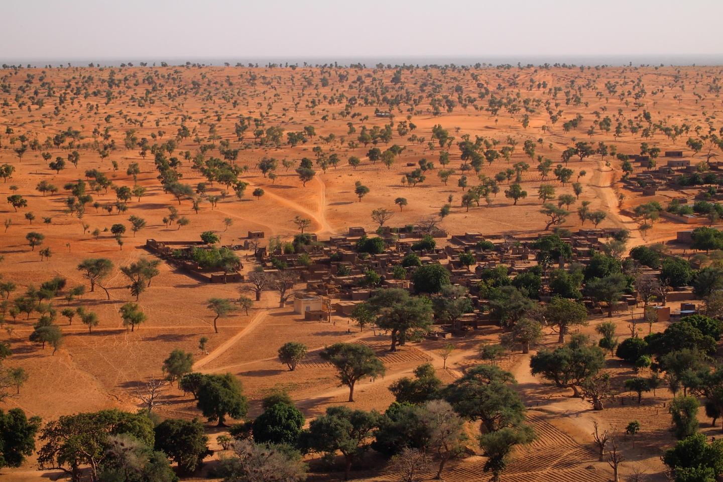 Dryland landscape in West Africa