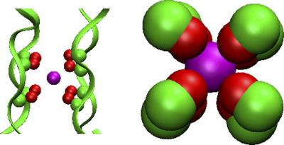 Ion Selectivity in the KcsA K+ Channel