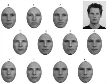 Visual Matching Task