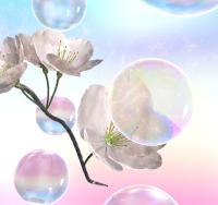 Art of Soap Bubble Pollination