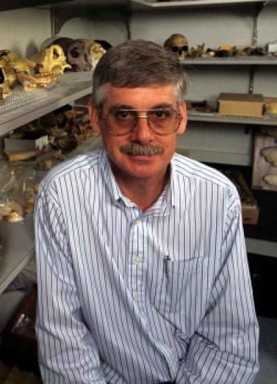 Erik Trinkaus, Washington University in St. Louis