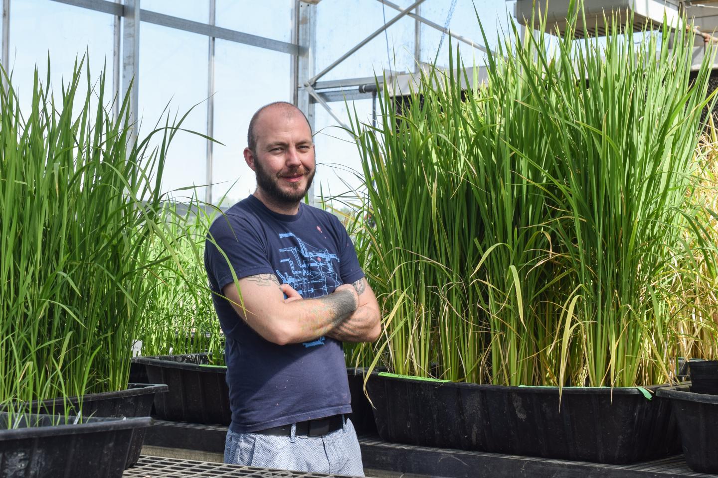 Benjamin Schwessinger, Australian National University