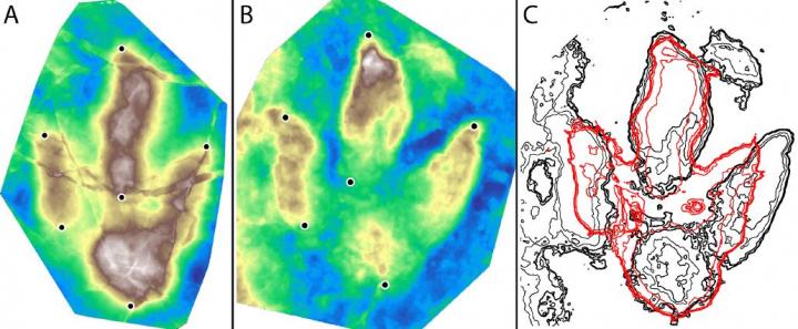 Jurassic Dinosaurs Trotted between Africa and Europe