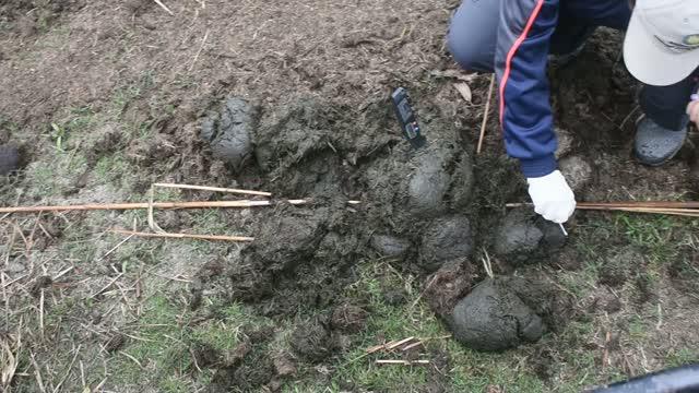 Tista Ghosh sampling DNA from rhino dung