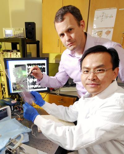 Garrett Stanley and Qi Wang, Georgia Institute of Technology (1 of 2)