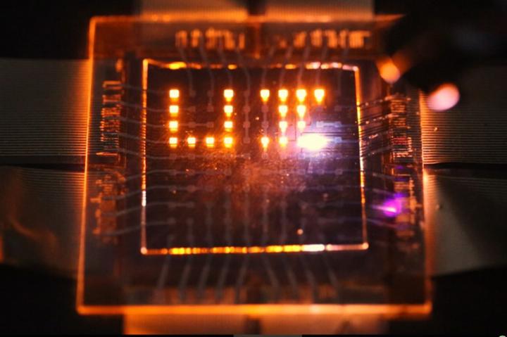 Dual Ability to Emit, Sense Li [IMAGE] | EurekAlert! Science News Releases