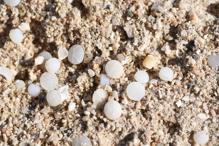 plastic pellets on the beach