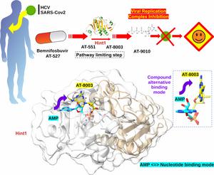 Atomic resolution of the broad-spectrum antiviral drug cascade to facilitate the design of antiviral drugs