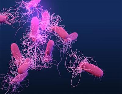 New DNA test will improve tracking of Salmonella food-poisoning outbreaks