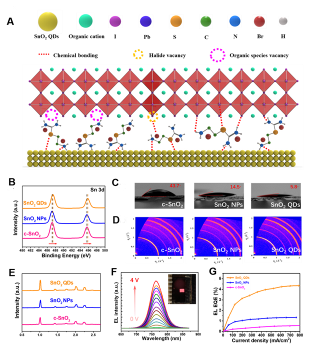 Figure 2. Passivation mechanism of perovskite devices with ligand-tailored SnO2 QDs.