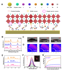 Figure 2. Passivation mechanism of perovskite devices with ligand-tailored SnO2 QDs.