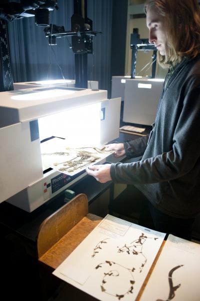 Digitizing Herbarium Specimens at the New York Botanical Garden