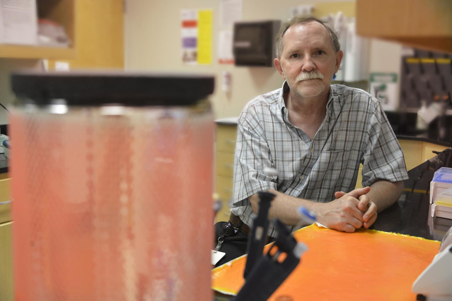 Angiotensin Receptor Blockers Normalize Sodium Excretion