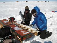 Ice Cores in Greenland