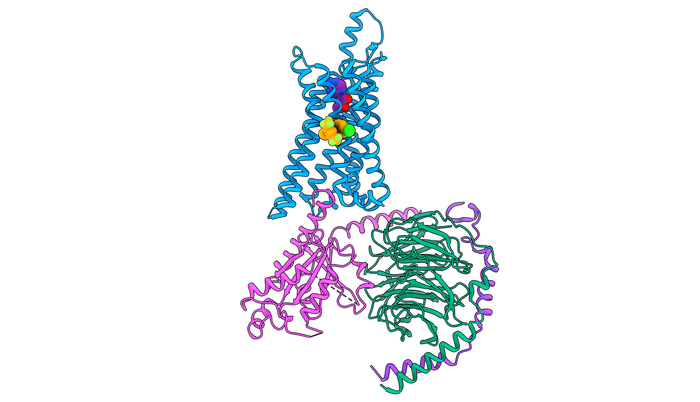 Cryogenic electron microscopy structure