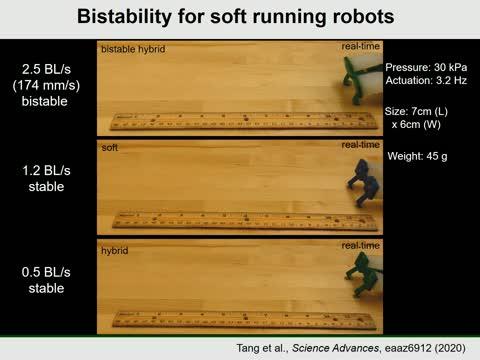 Cheetahs Inspire Faster Soft Robots