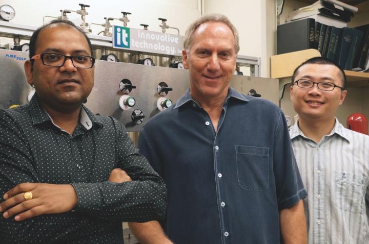 Bruce Lipshutz,  Sachin Handa and Ye Wang