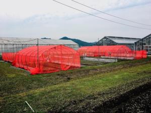 Field test in Kyoto, Japan.