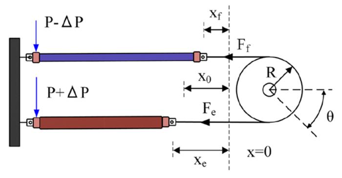 Schematic of two opposing pneumatic artificial muscles (PAMs)