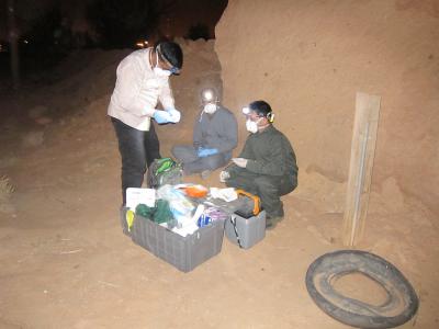 Sample Collection, Saudi Arabia, April 2013