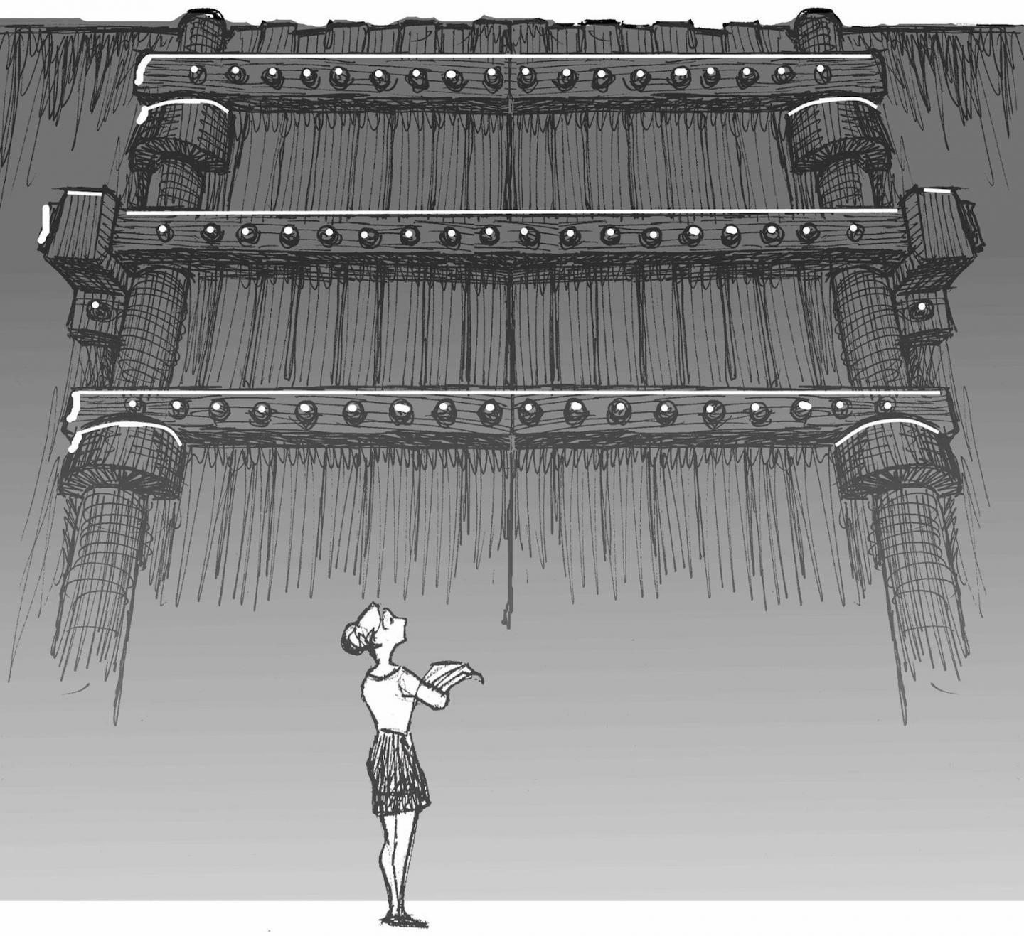 Universities Should Actively Support Open Scholarship