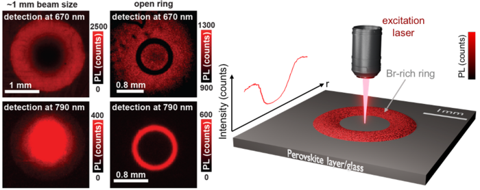Photoluminescence ring formation under continuous-wave optical excitation