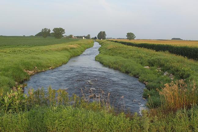 Wetlands