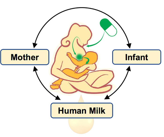 Do a mom's medications affect her breast milk