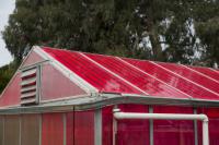 Electricity-Generating Greenhouse