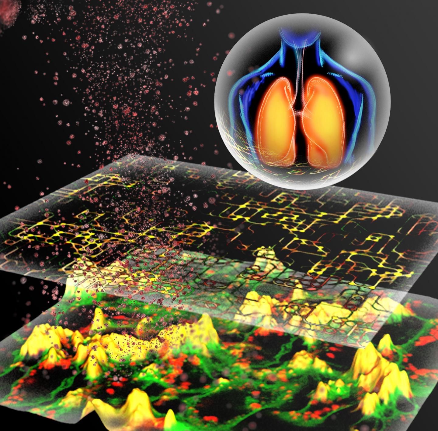 Particle-cell interaction