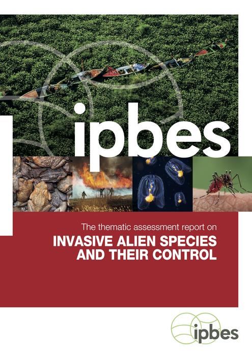 Invasive alien species globalization | alien invasive species | XAKY