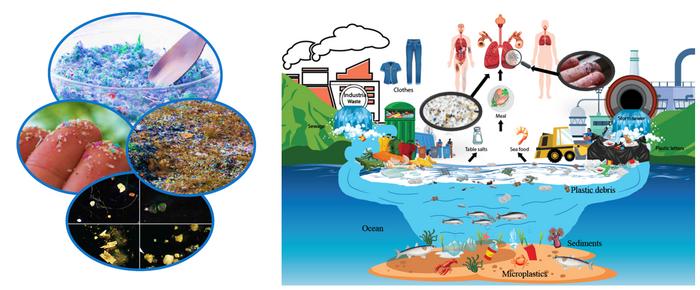Microplastic pollution and impacts on health