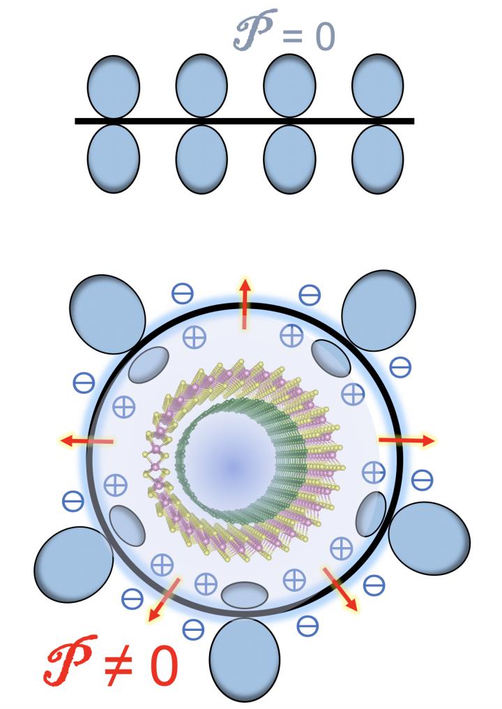 NANOTUBES 1