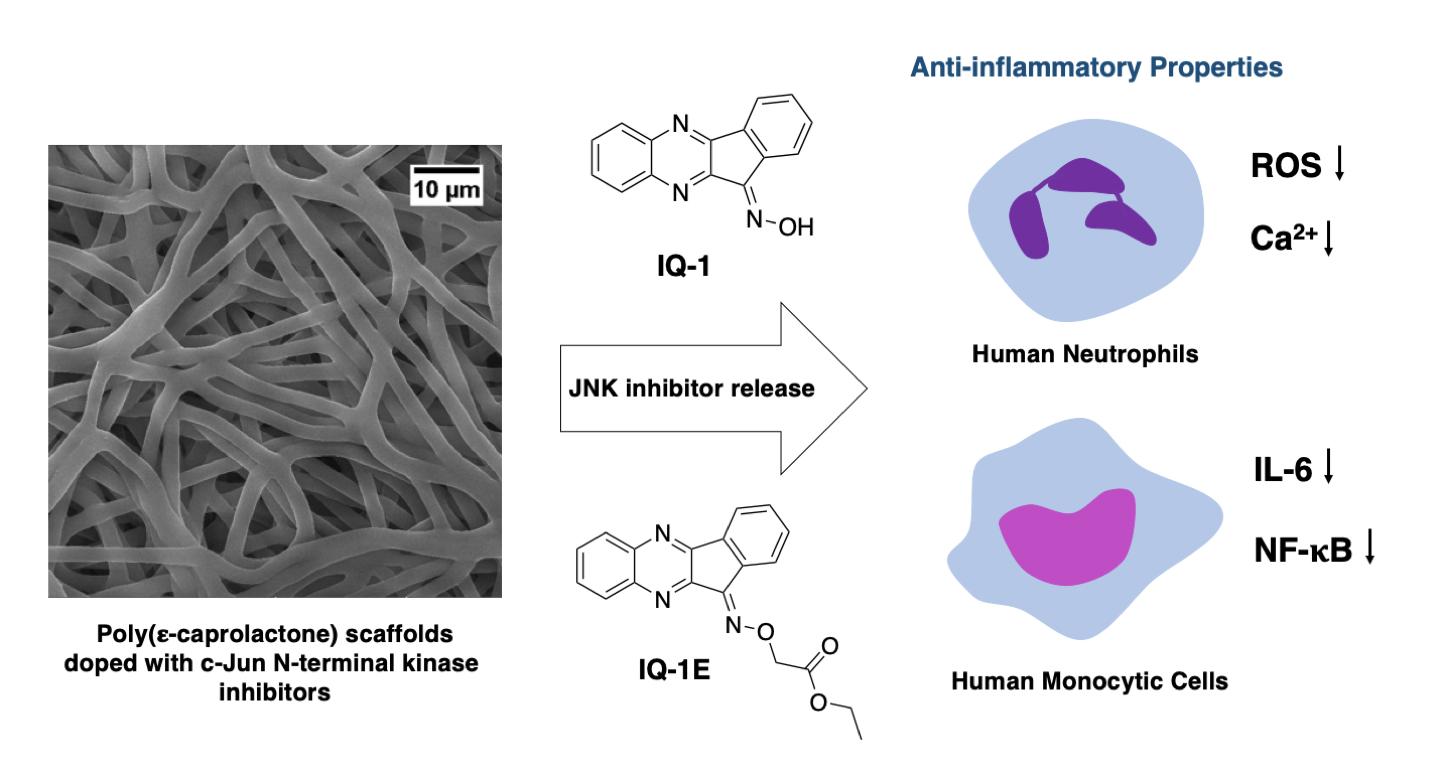 Mechanism of the Developed Materials