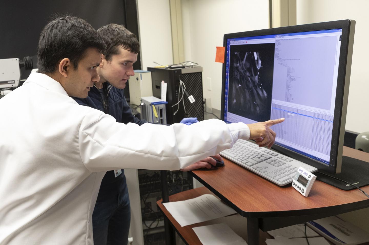 Researchers Finally Discover Why Obesity Causes High Blood Pressure