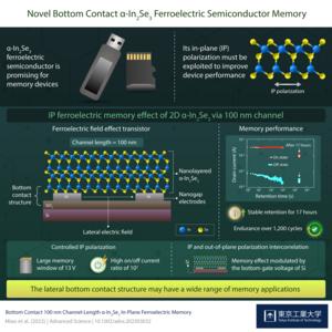 Novel Bottom Contact α-In2Se3 Ferroelectric Semiconductor Memory