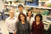 Rima Slim and Her Colleagues from the Research Institute of the McGill University Health Centre