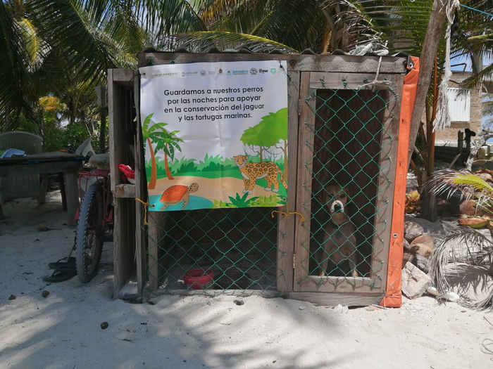 Night house for dogs