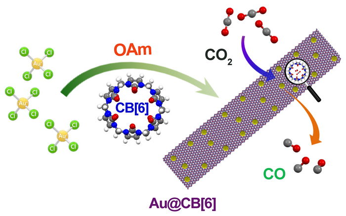 Tunable CO2 enrichment on functionalized gold surface for enhanced CO2 electroreduction
