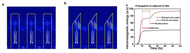 Enhancing the Light Absorption of SiMPF