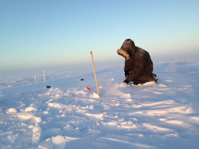 Naama Raz-Yaseef, DOE/Lawrence Berkeley National Laboratory 