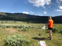 Biologist Charity Owings collects blow flies at Yellowstone National Park